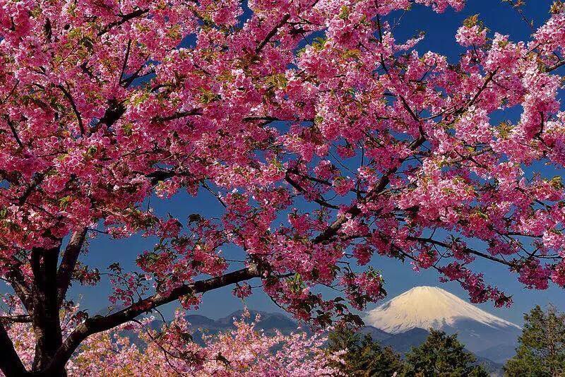Hakone Pacific Ξενοδοχείο Εξωτερικό φωτογραφία