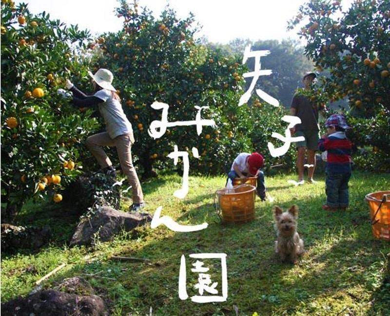 Hakone Pacific Ξενοδοχείο Εξωτερικό φωτογραφία