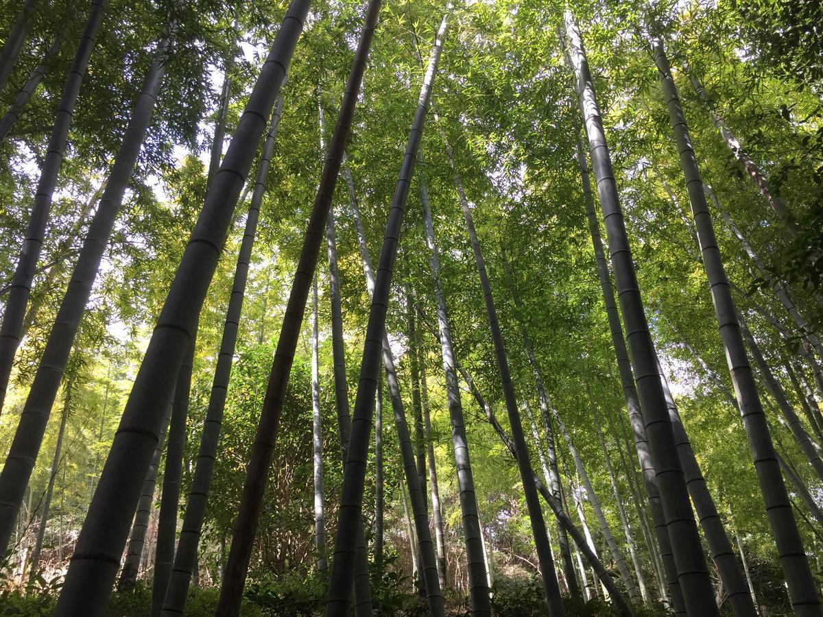 Hakone Pacific Ξενοδοχείο Εξωτερικό φωτογραφία