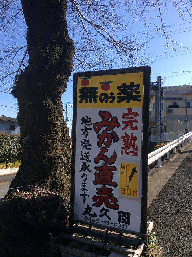 Hakone Pacific Ξενοδοχείο Εξωτερικό φωτογραφία